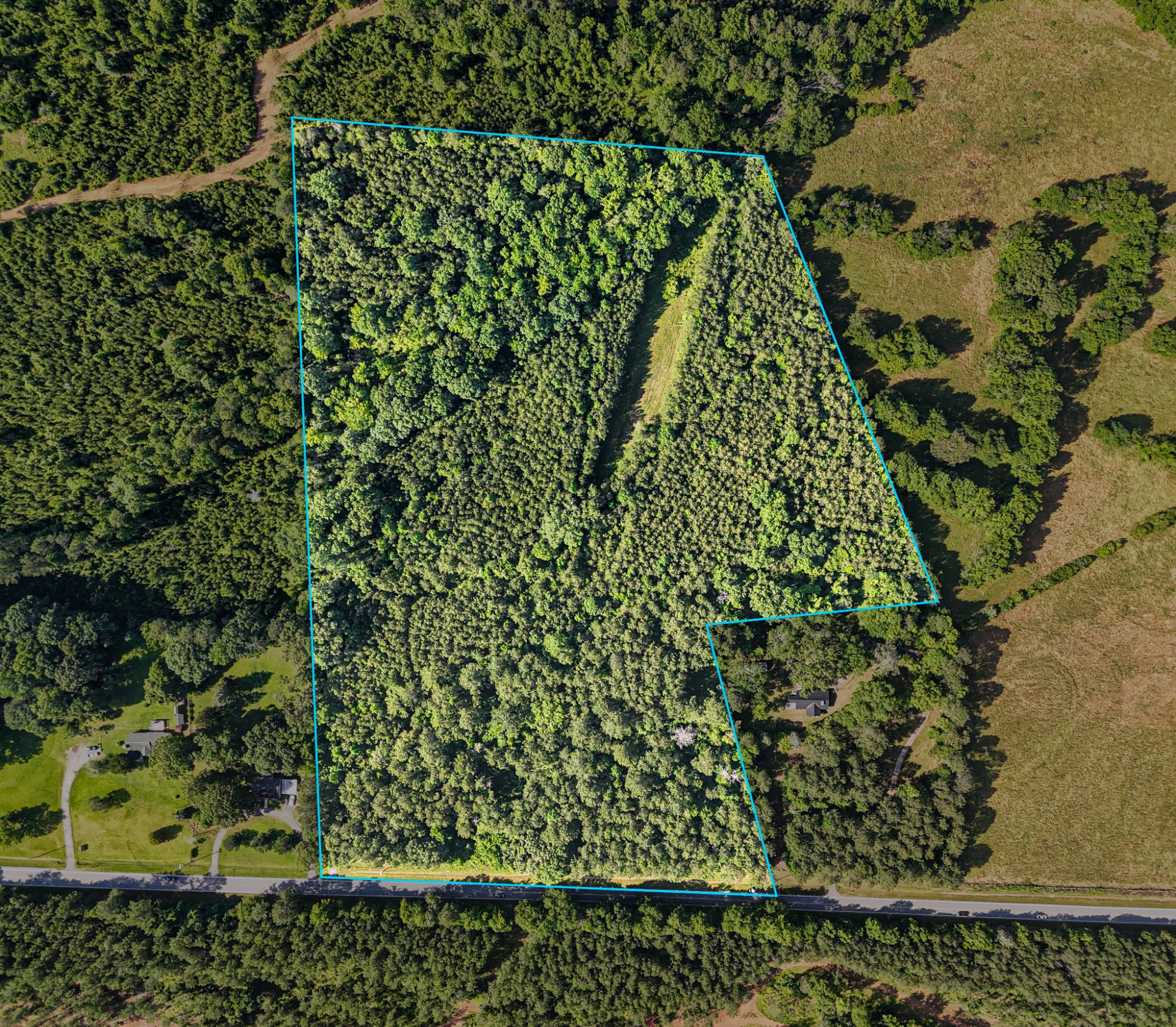Wooded acreage with parcel boundary in Laurens County, SC